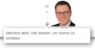 Mikrofonanzeige für Teilnehmende