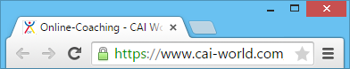 Browser mit HTTPS